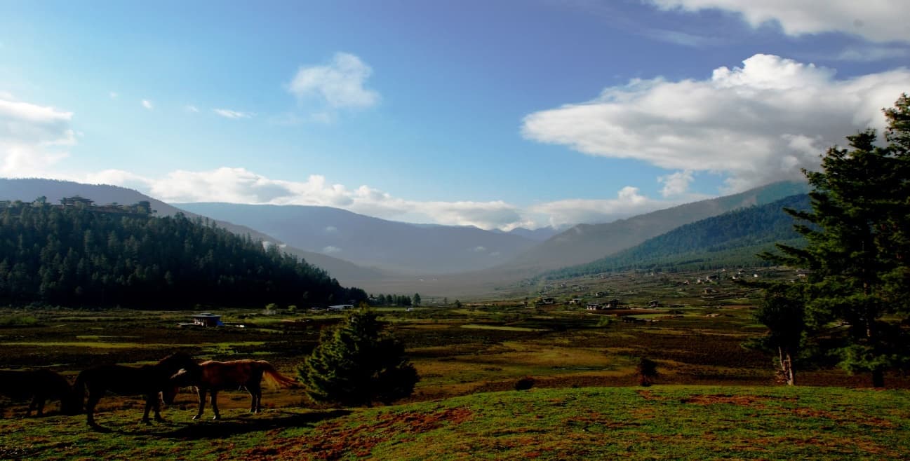 Best Of Bhutan 7N 8D — photo 4