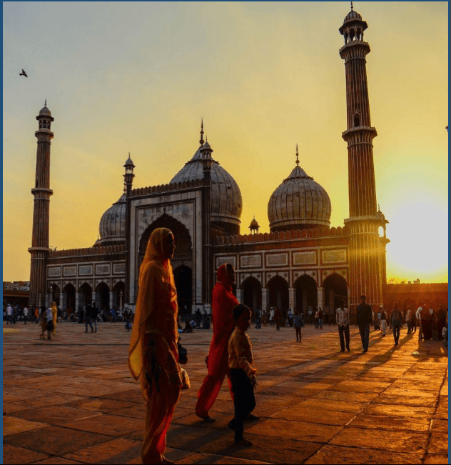 Royal Rajasthan — photo 4