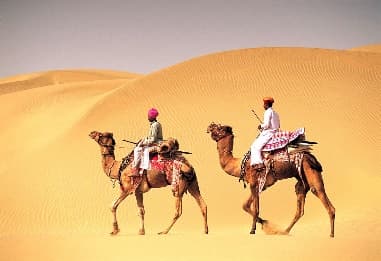 Royal Rajasthan — photo 7