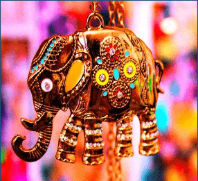 Royal Rajasthan — photo 9